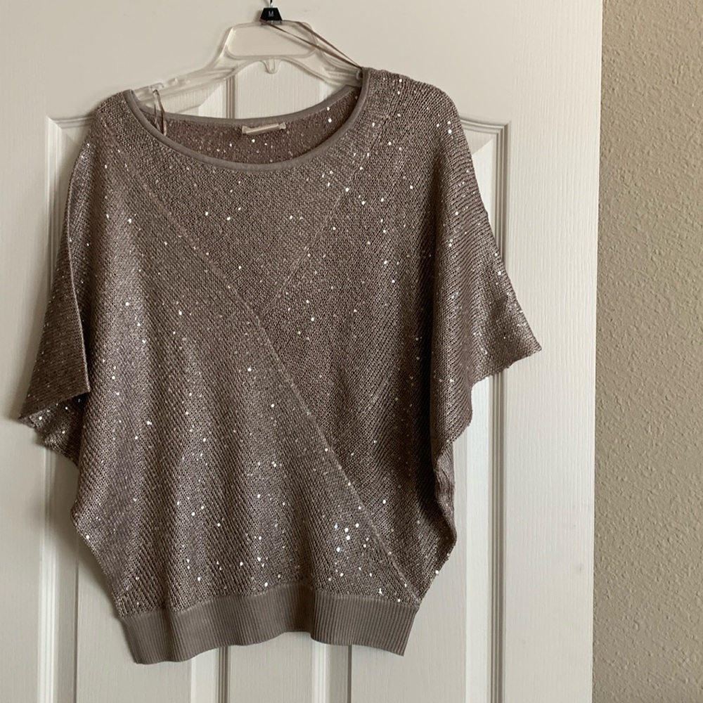 Ladies shirt sleeve Matallic top size medium.